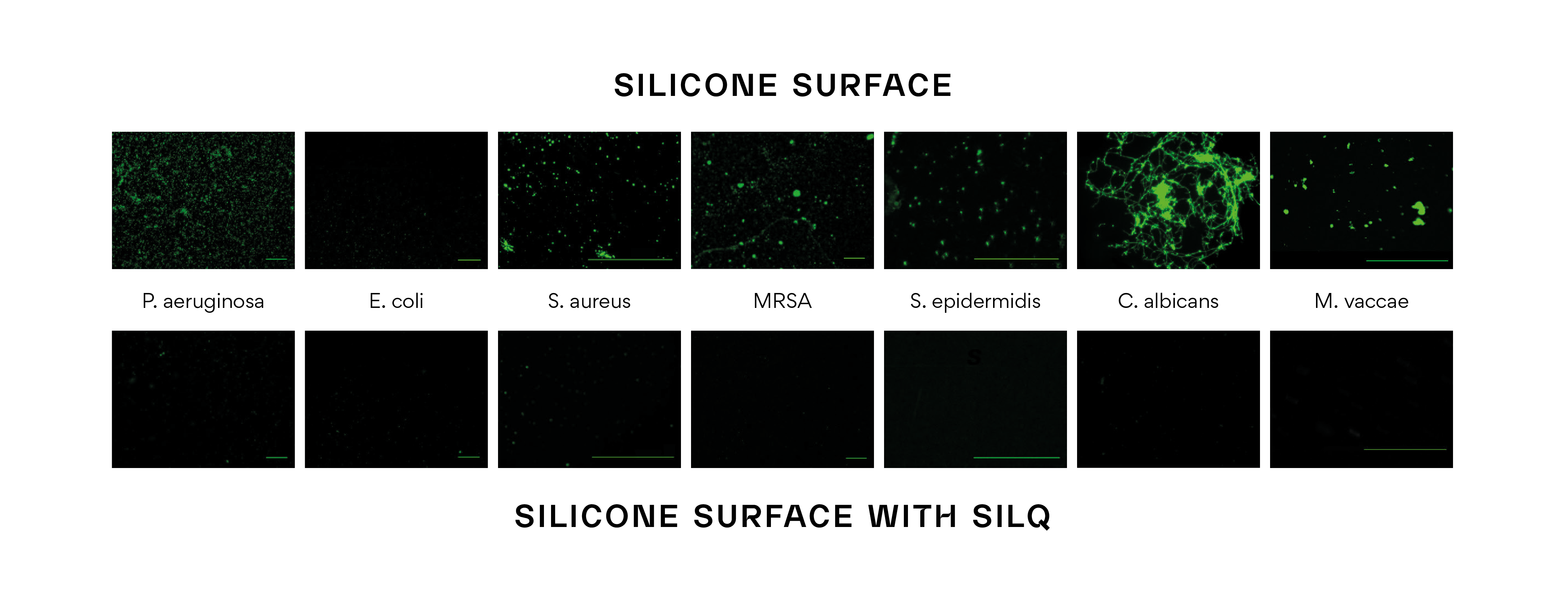 Bacterial adhesion reduction data